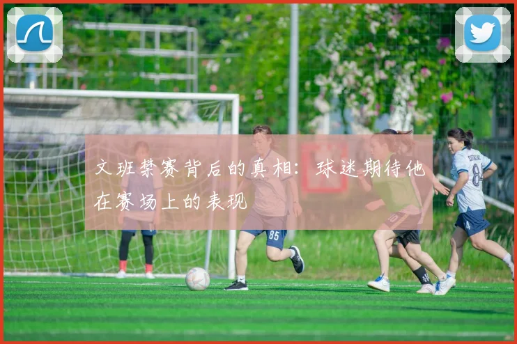 文班禁赛背后的真相：球迷期待他在赛场上的表现