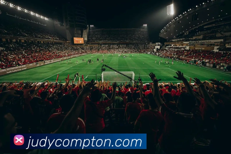 体育数据展示